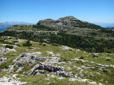 MONTE ORTIGARA