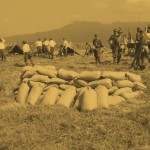 zovetto_clip_image044