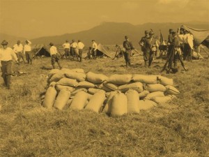 zovetto_clip_image044