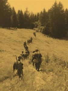 zovetto_clip_image096